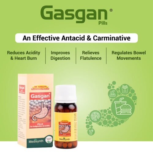 Medisynth Gasgan Pills 25g