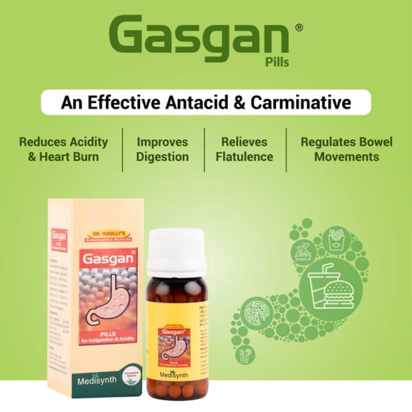 Medisynth Gasgan Pills 25g