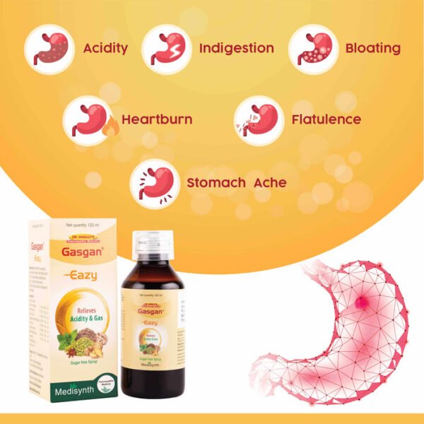 Medisynth Gasgan Eazy Sugar Free Syrup 120ml