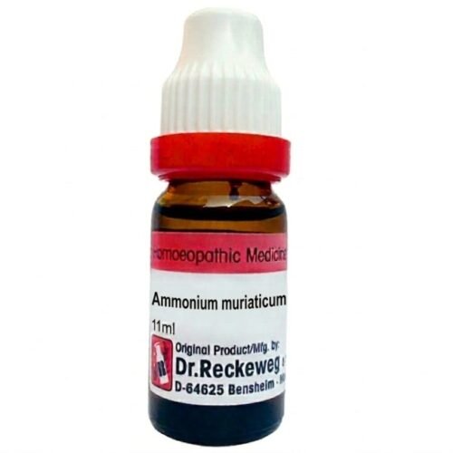 reckeweg-dilution-2414-dr-reckeweg-ammonium-mur-dilution Dr. Reckeweg Ammonium Mur Dilution