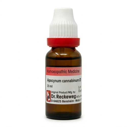Apocynum can Q