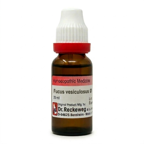 Fucus vesiculosus Q