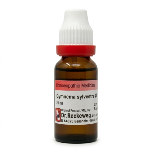 Gymnema sylvestre Q