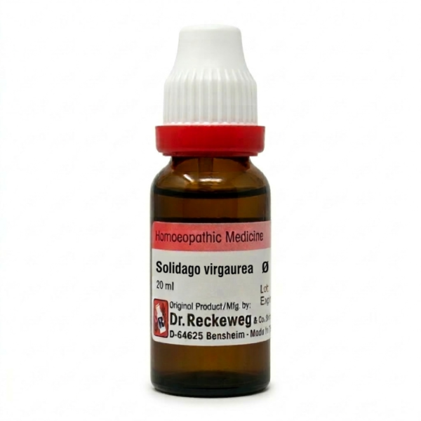 reckeweg-mt-5453-solidago-virgaurea-q Solidago virgaurea Q
