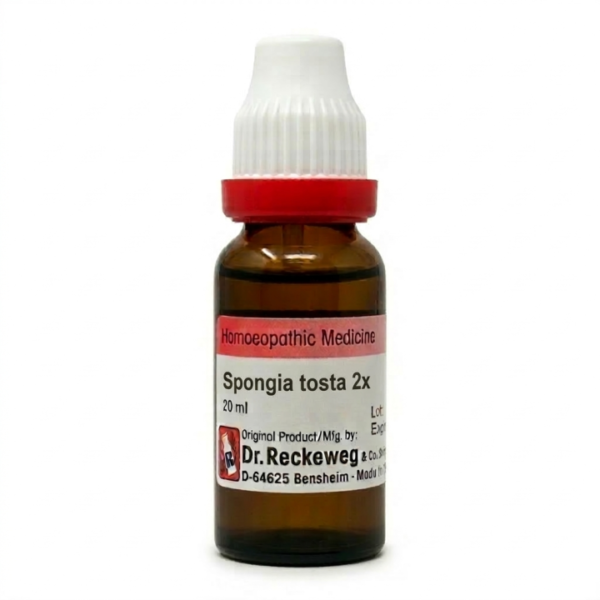Spongia tosta 2x