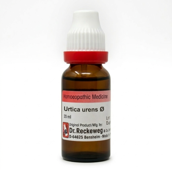 Urtica urens Q
