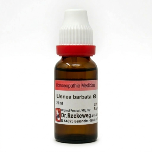 Usnea barbata Q