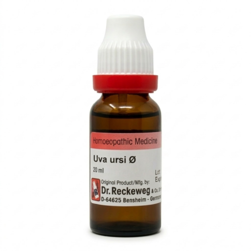 Uva ursi Q