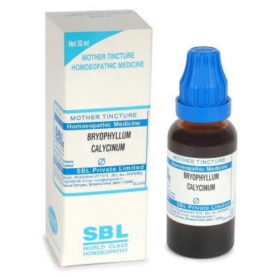 sbl-mt-1823-bryophyllum-calycinum SBL Bryophyllum Calycinum Mother Tincture Q