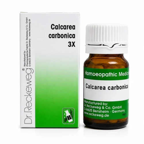 calcareacarbonica3x Dr. Reckeweg Calcarea Carbonica Trituration 3X — manufacturer pack image