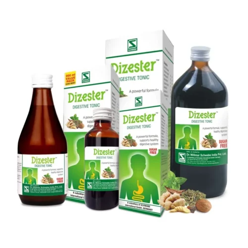 Schwabe Dizester Syrup 100ml